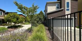 Charming 3 Bed / 2.5 Bath Home with Modern Upgrades Gallery 5