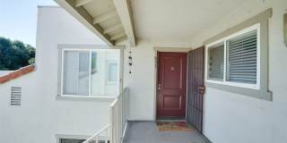 833 Cinnamon Gallery 2