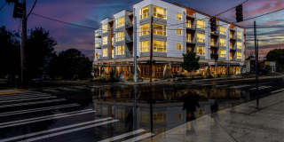 Harlow Heights Gallery 13