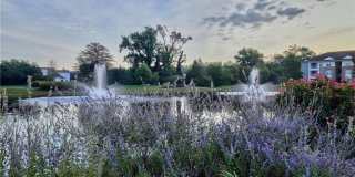 CULPEPPER LANDING Gallery 42