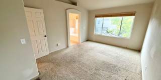 Stunning 4 bedroom/ 2.5 bath home with 2 car Attached Garage in Fort Collins, Colorado Gallery 23