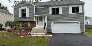284 Hill Avenue Gallery 1