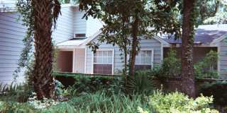 Mill Pond accross from G'ville Health and Fitness Gallery 9