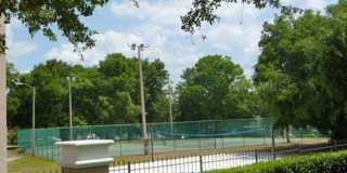 3 Bedroom/2 Bathroom Condo in Brantley Terrace! AVAILABLE NOW! Gallery 16