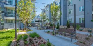 Proximo at Pena Station Gallery 6