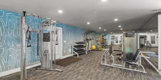 Avana Star Lake Gallery 89