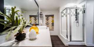 Muse at SoCo Gallery 16