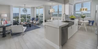 Sunrise Harbor Gallery 2