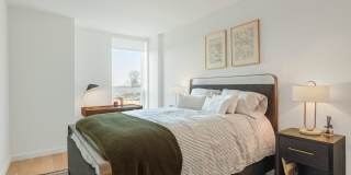 The Edmund Gallery 6