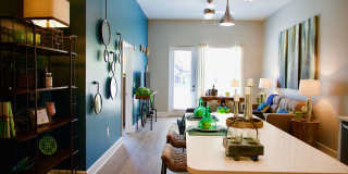 Park and Broad Gallery 6