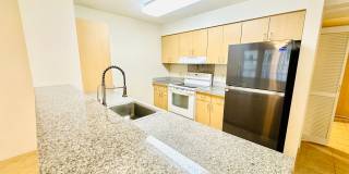 Diamond in the rough 1 bedroom with den in Honolulu! Gallery 4