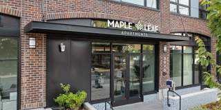 Maple Leaf Gallery 1