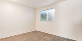 Park Avenue Village Apartments Gallery 22