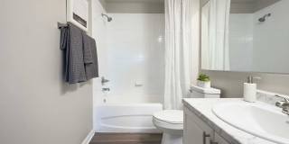 Lexington Palms at the Forum Gallery 22