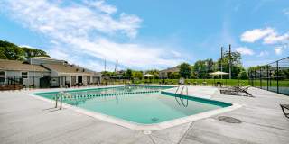 TGM Autumn Woods Gallery 23