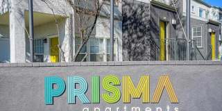 Prisma Gallery 26