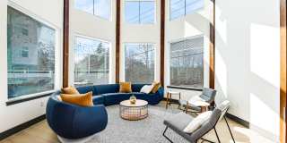 Allegro Lynwood Gallery 54