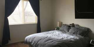 2 Bed 1.5 Bath Townhouse End Unit in North Central Loveland Gallery 5