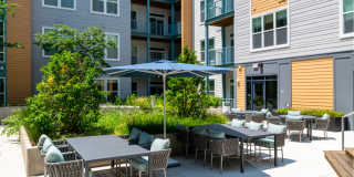 The Alder Gallery 41