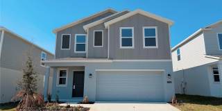 2262 LASSO LOOP Gallery 1