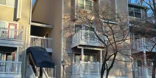 10703 HAMPTON MILL Terrace unit: 110 Gallery 1