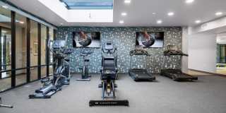 Aspire 11 Gallery 14