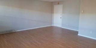 13789 Cedar Rd. Unit 300 Gallery 7