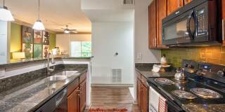 Cortland Duluth Gallery 5