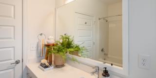 Hawthorne at Holly Springs Gallery 47