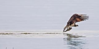 7517 B Street Gallery 1