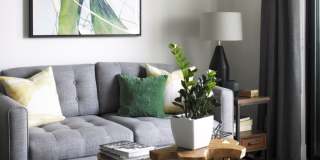 Del Oro on Broadway Gallery 9