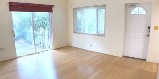Great 4BR/2BA South Tampa home with Large fenced yard. Gallery 5