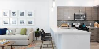 The Triton Gallery 3