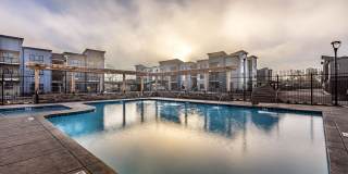 The McKenzie Gallery 20