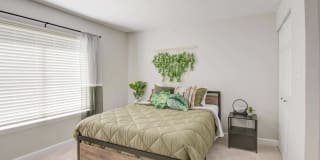 Avana Stoney Ridge Gallery 3