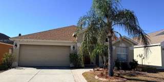 12531 Midpointe Drive RIVERVIEW Gallery 1