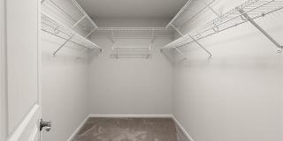 31065 Tremont Lane Gallery 29