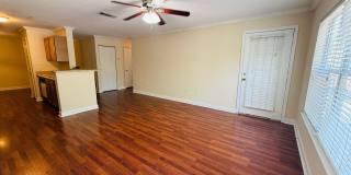 3 Bedroom, 2 Bath with Garage For Rent in New Tampa! Gallery 13