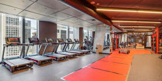 Rosslyn Towers Gallery 29