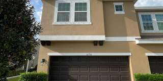 Greater Tampa Living!! Greater Tampa Living!! Gallery 1