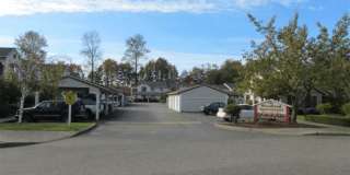 The Woodlands Apartments Gallery 2