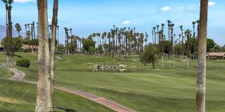 76570 Hollyhock Drive Gallery 30