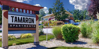 Tamaron Ranch Gallery 16