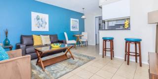 Rise on Cactus Gallery 47