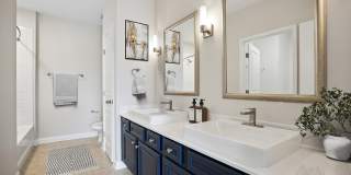 The Arboretum Apartments Gallery 9