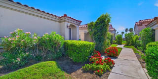 55090 Shoal Creek 55090 Shoal Creek Gallery 7