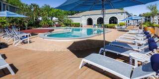 Onyx Winter Park Gallery 6