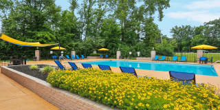 Hunters Chase Gallery 2