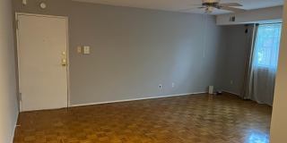 9921 BUSTLETON Avenue Gallery 8