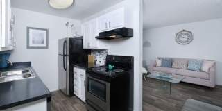 Fifteen 50 Gallery 6